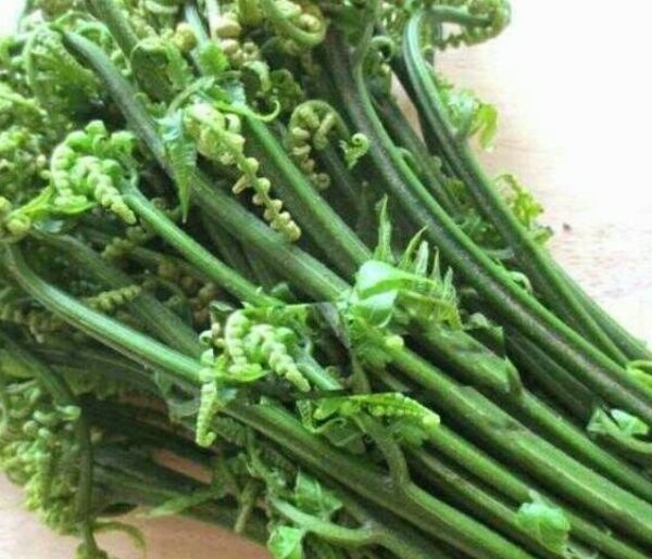 Fiddlehead Ferns(Dheki Saag/Shak) Bundle of 3 Fresh seal packed Currently available in West Bengal Only